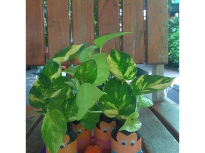 Pemanfaatan Limbah